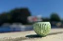 20250512_IMG_4679.webp